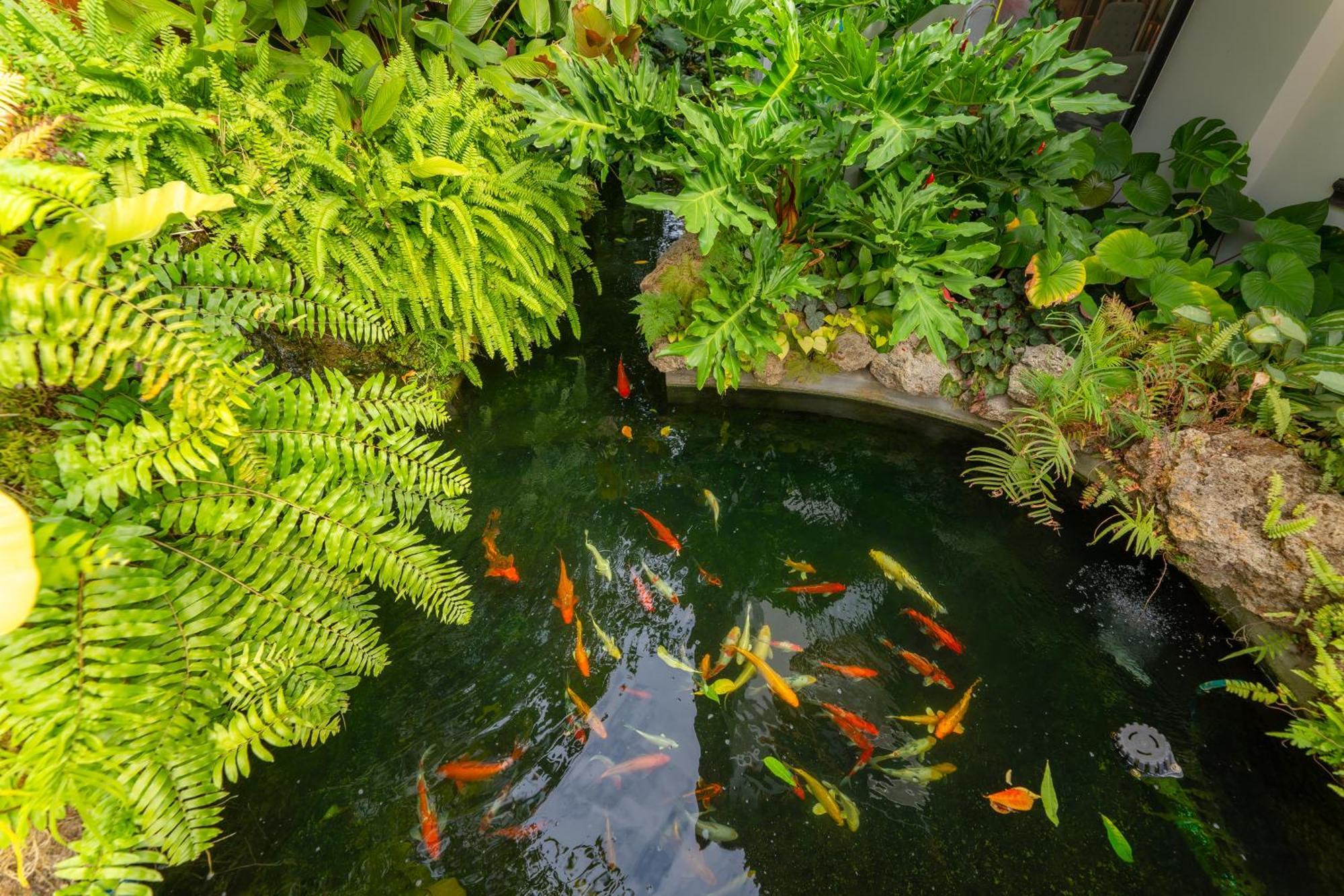 Verbena Chiangmai 清邁 外观 照片